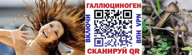 Псилоцибиновые грибы Magic Shrooms  где купить   Устюжна 